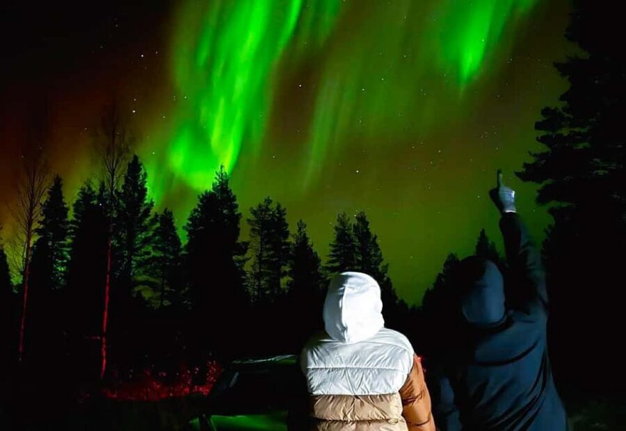 Rovaniemi: Northern Lights Tour with BBQ - How the 3-hour aurora hunt works from Rovaniemi