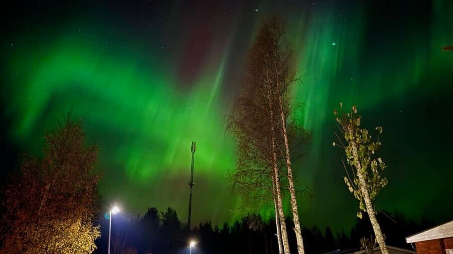 Rovaniemi: Northern Lights Tour with BBQ - Price and value: what $85 buys you in Lapland time