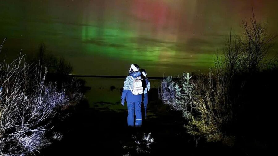 Rovaniemi: Northern Lights Tour with BBQ - Three viewing stops beyond city lights (and what makes each moment count)