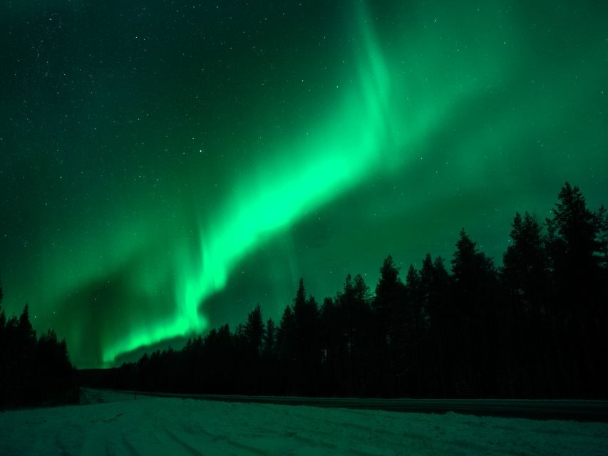 Rovaniemi: Northern Lights Tour with Guaranteed Sightings - Your 8-hour night: pickup to the final photo stop