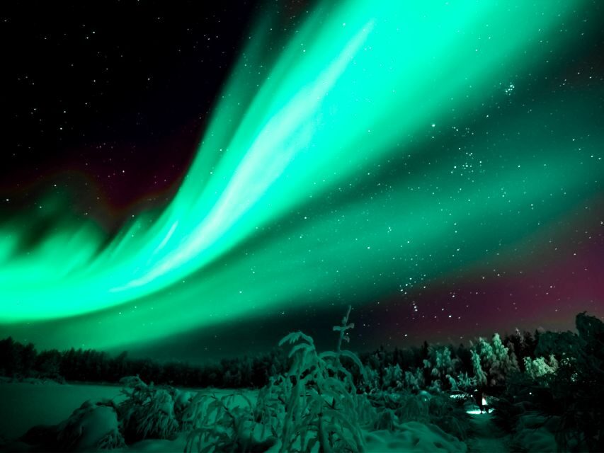 Rovaniemi: Northern Lights Tour with Guaranteed Sightings - The command center method: rerouting until the sky cooperates