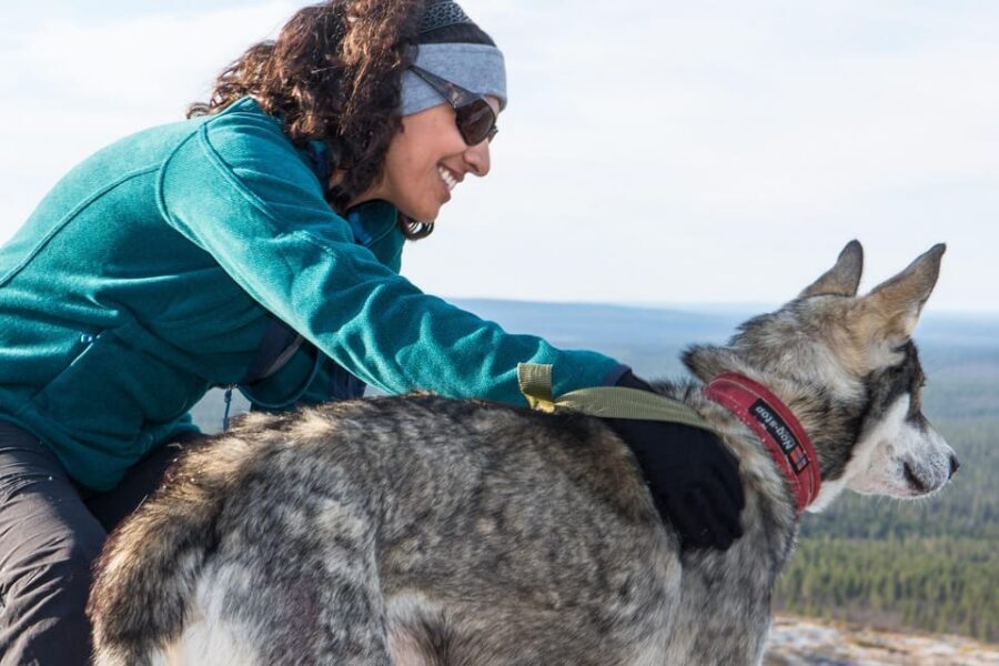 Rovaniemi: One Hour Husky Experience - Meet the Dogs, Hear About Training, and Get Your Safety Brief