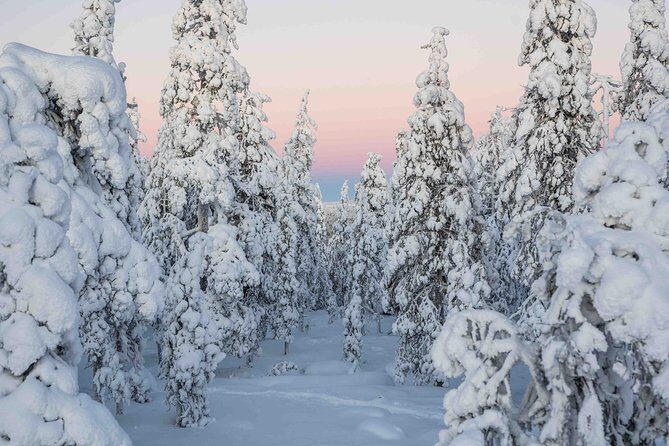 Rovaniemi photography tour - Beyond the three stops: how the guide turns driving time into stories