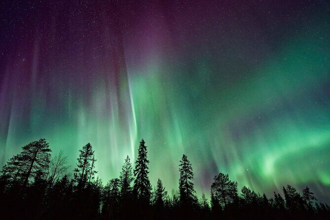 Rovaniemi: Private Aurora Tour with Guaranteed Sightings - Pickup, meeting point, and the small details that save you stress