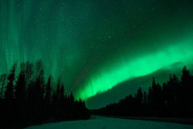 Rovaniemi: Private Aurora Tour with Guaranteed Sightings - Price and logistics: when $349.51 per person is good value
