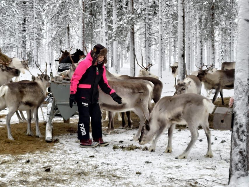 Rovaniemi: Private Reindeer Farm Visit and Walk-Along - The Winter Prep That Makes or Breaks Your Comfort