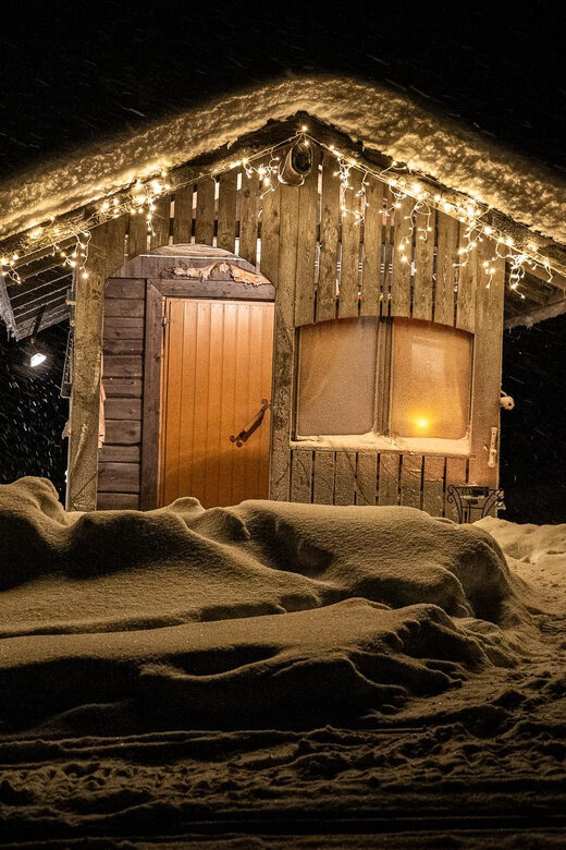 Rovaniemi: Private Sauna and Ice Swimming Tour with Snacks - Who This Tour Is For (and Who Should Skip It)