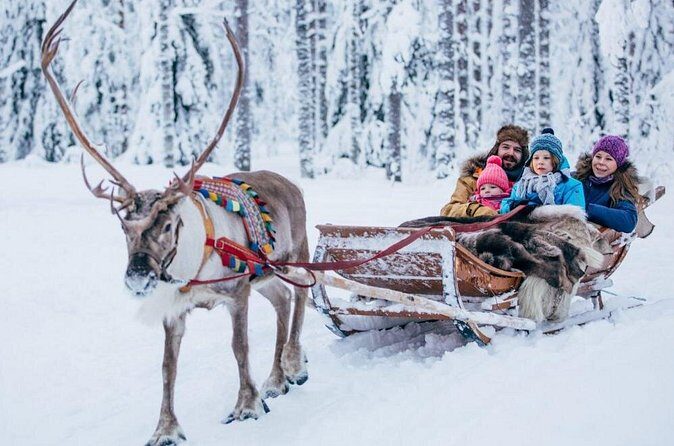 Rovaniemi Private Transfer from Rovaniemi city centre to Rovaniemi airport - Who This Rovaniemi Airport Transfer Fits Best