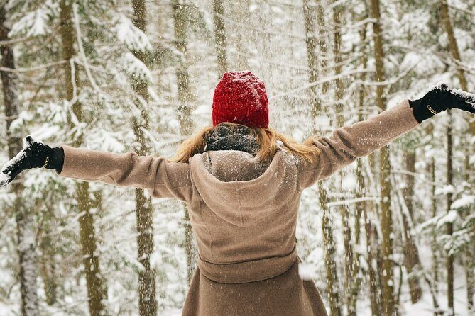 Rovaniemi: Private Winter Wonderland Photoshoot Tour - Private and tailored: what that really changes for your photos