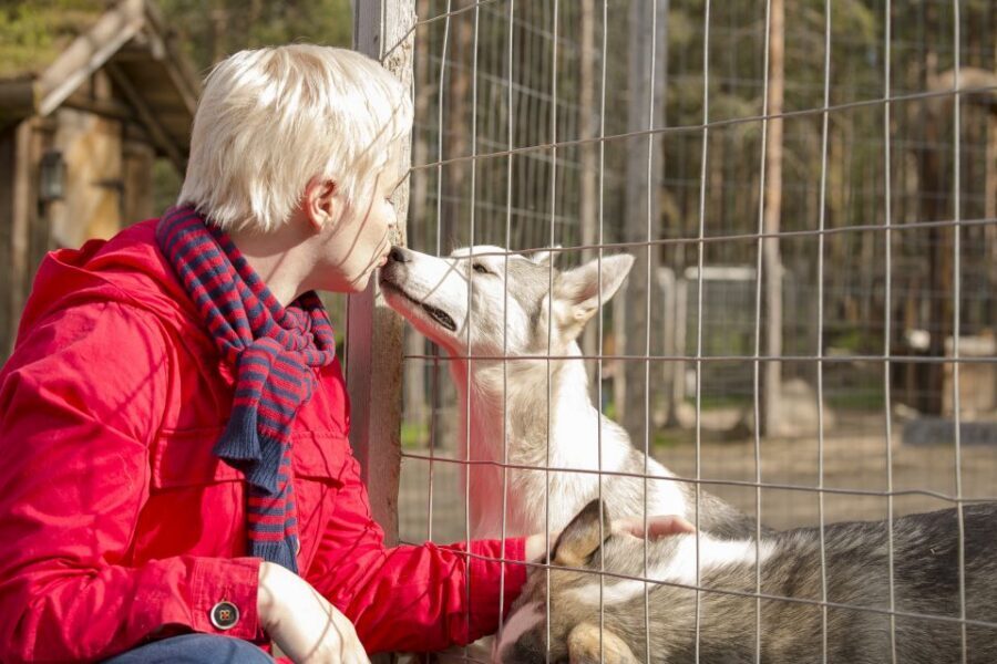 Rovaniemi: Quad Bike Safari, Reindeer & Husky Farm Visit - The sleigh ride factor: when snow allows it, it’s included