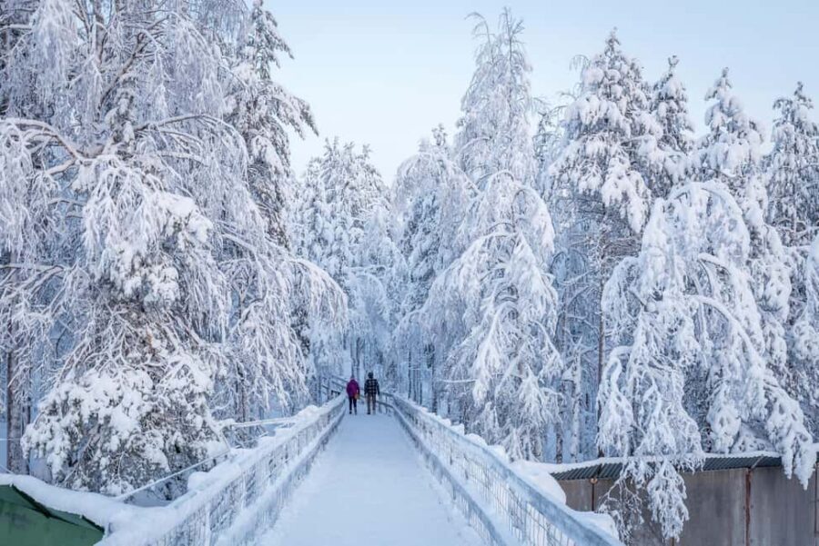 Rovaniemi: Ranua Zoo Wildlife Park Tour with hotel pickup - Break time, photos, and shopping for souvenirs that fit the vibe