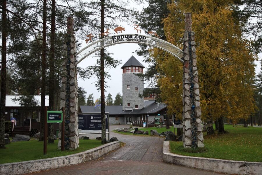 Rovaniemi: Ranua’s Wildlife Park Ticket with Transportation - The Arctic Animals You Can Actually Plan Around
