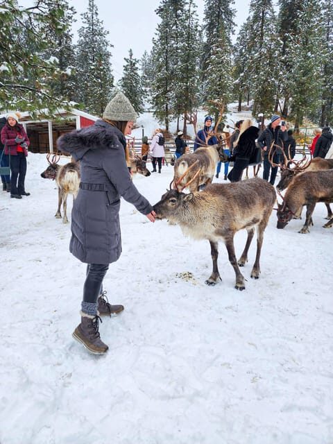 Rovaniemi: Reindeer Farm Visit and Sleigh Ride with transfer - The Kota-Hut Story Time: Where the Warmth and Meaning Live
