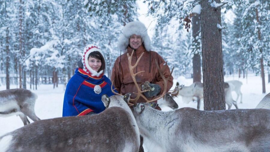 Rovaniemi: Reindeer Farm Visit and Sleigh Ride with transfer - What’s Included—and Why It’s Good Value at $117