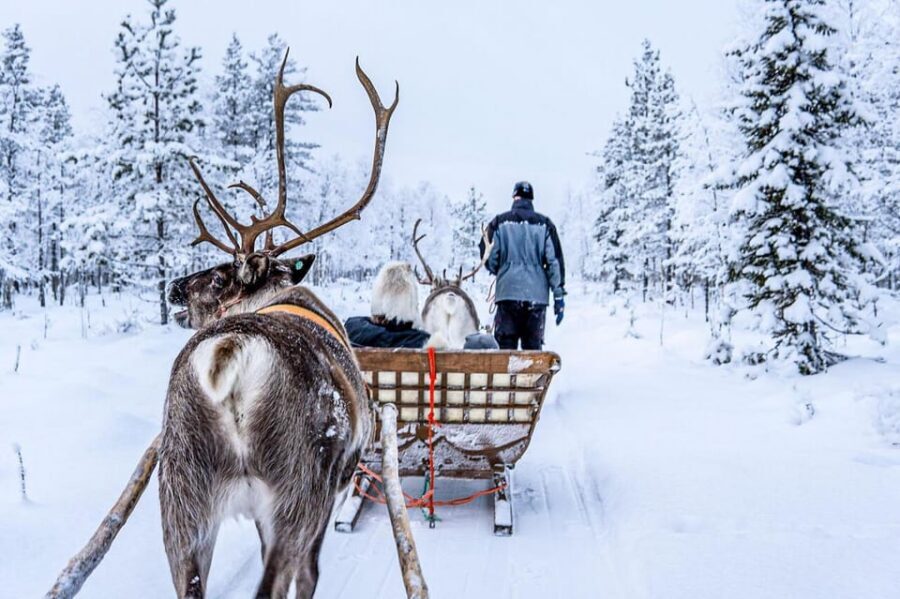 Rovaniemi: Reindeer Farm Visit and Sleigh Ride with transfer - Season Dates and Timing: Plan It Around the Arctic Calendar