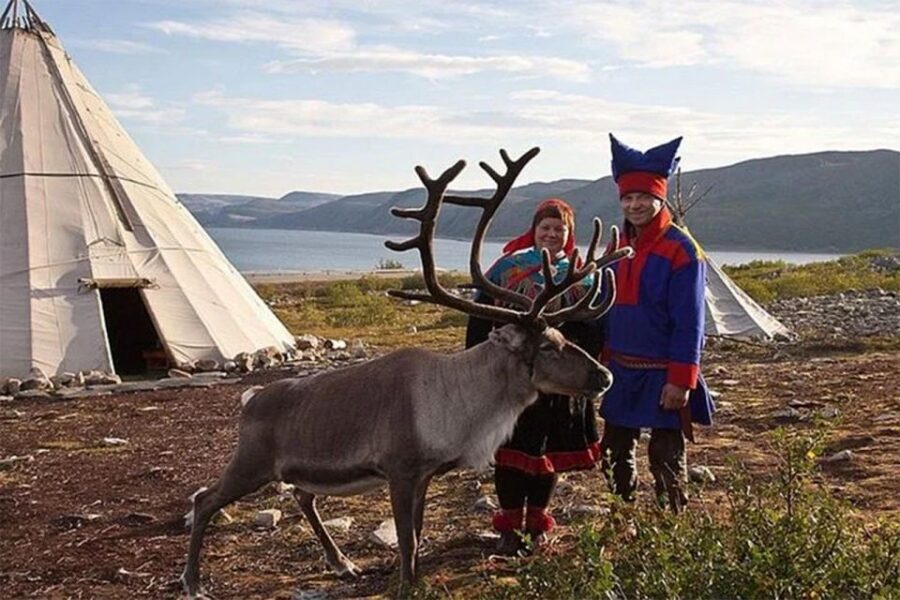 Rovaniemi: Reindeer Farm Visit in the Summer - Who This Tour Suits Best (and Who Might Want Another Option)