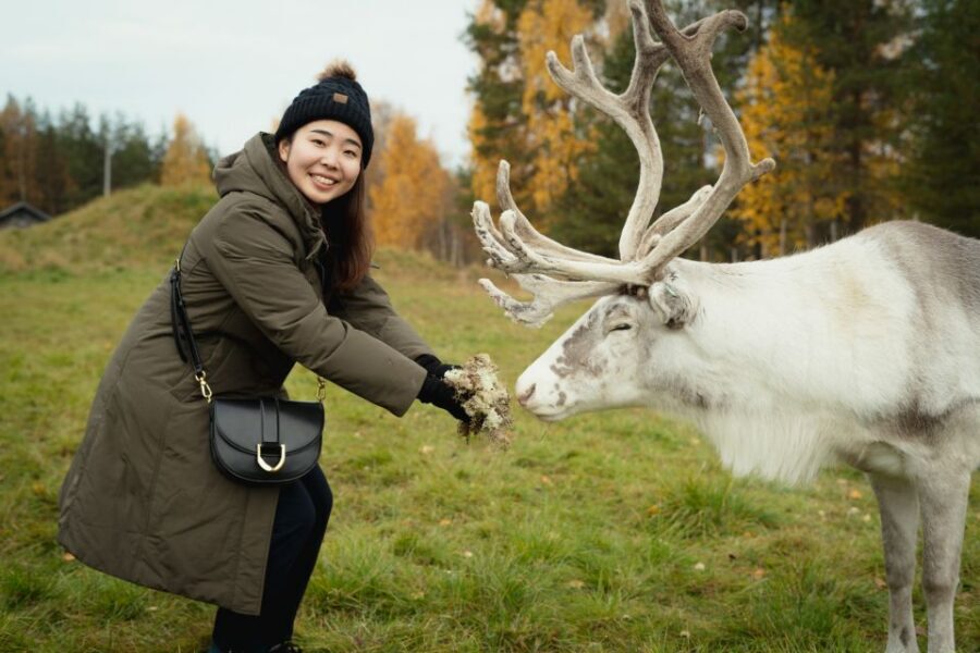 Rovaniemi: Reindeer Farm Visit with Photographer - The Short Sleigh Ride (400m): A Bonus That Depends on Snow