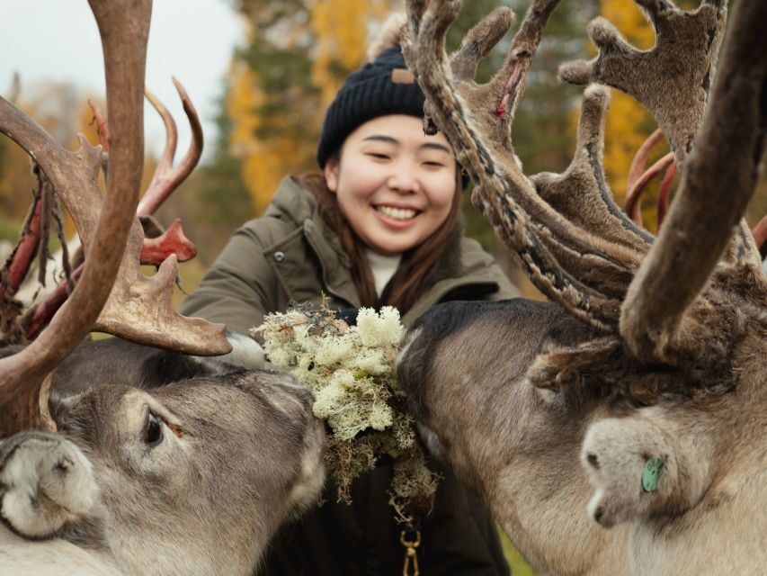Rovaniemi: Reindeer Farm Visit with Photographer - Who Should Book This Reindeer Farm With Photographer
