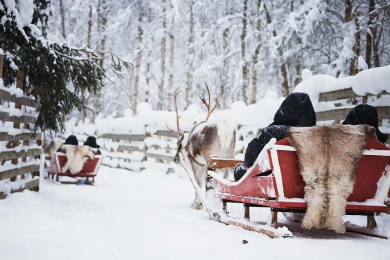 Rovaniemi: Reindeer, Huskies & Santa Claus Village - Key Highlights You’ll Care About