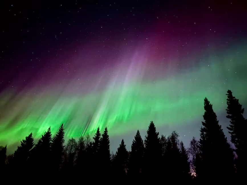 Rovaniemi: Reindeer, Huskies, Santa's Pets & Aurora Hunt - Getting Around in the Cold: Pickup, Timing, and Group Size That Helps