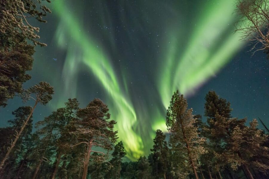 Rovaniemi: Reindeer Safari and Northern Lights Tour - From Pickup to Drop-Off: How the 2.5 Hours Typically Feel