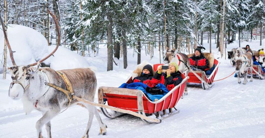 Rovaniemi: Reindeer Sleigh Ride with Hot Drink and Cookies - Entering The Old Reindeer Farm Around Rovaniemi