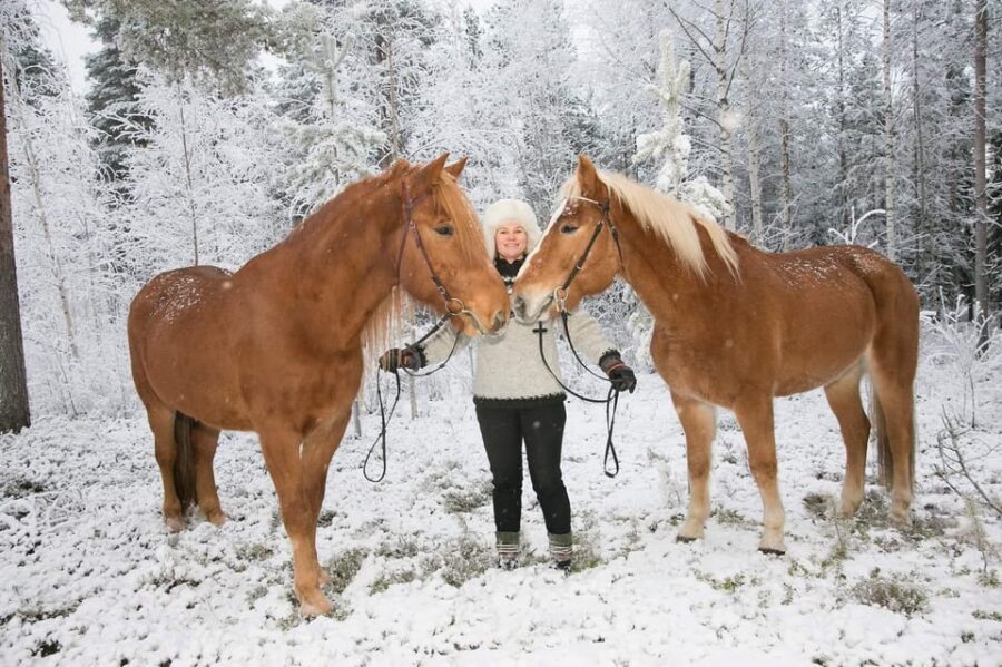 Rovaniemi: Riding Tour with Finnhorses at SCV - The 30-Minute Forest Trail: What It Feels Like