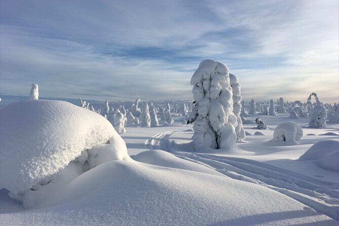Rovaniemi: Riisitunturi Full-Day Wilderness Adventure & BBQ - Key Things to Know Before You Go