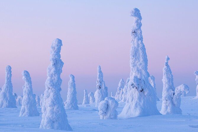 Rovaniemi: Riisitunturi Full-Day Wilderness Adventure & BBQ - A Family-Run Lapland Story That Helps You Enjoy the Place