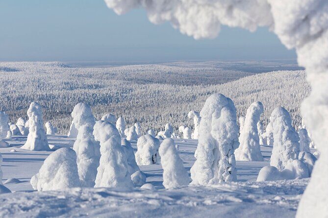 Rovaniemi: Riisitunturi Full-Day Wilderness Adventure & BBQ - Who This Riisitunturi Wilderness Adventure Fits Best