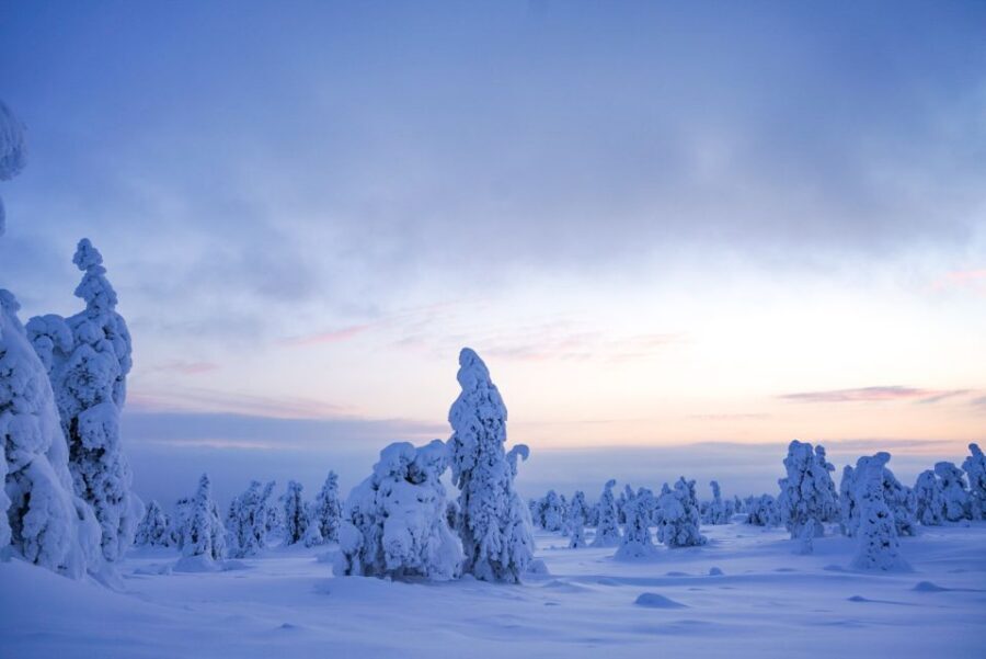 Rovaniemi: Riisitunturi National Park Day Trip with Lunch - The 4-kilometre hike: pacing, photo stops, and possible snowshoes