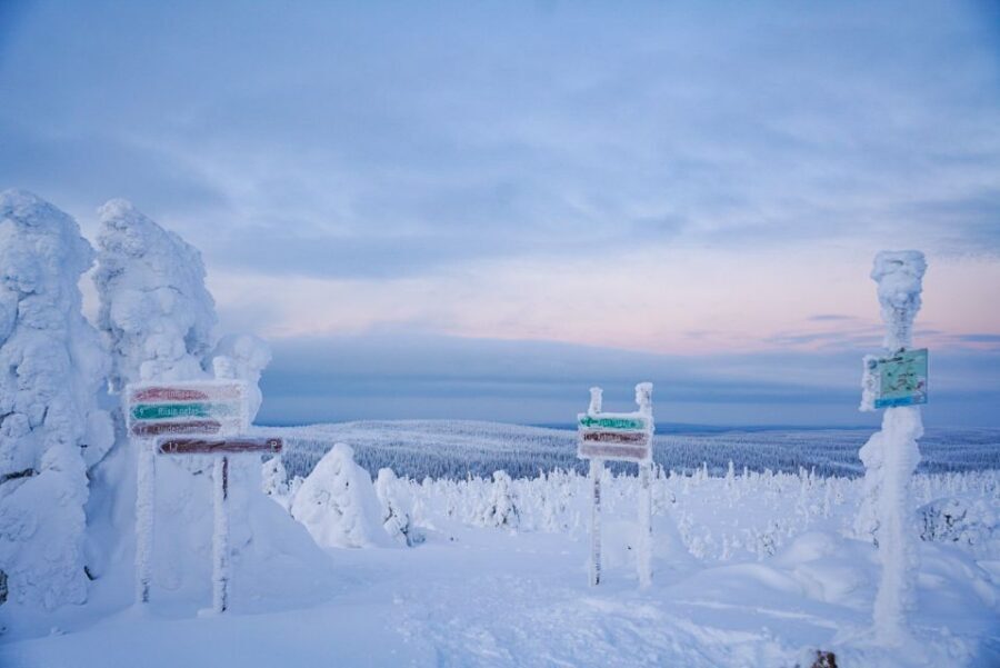 Rovaniemi: Riisitunturi National Park Day Trip with Lunch - Guide-led nature talk, wildlife spotting, and the park’s winter logic