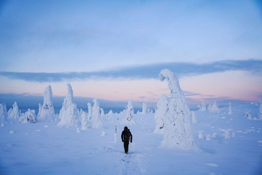 Rovaniemi: Riisitunturi National Park Day Trip with Lunch - What’s included for winter comfort (and what you should still bring)