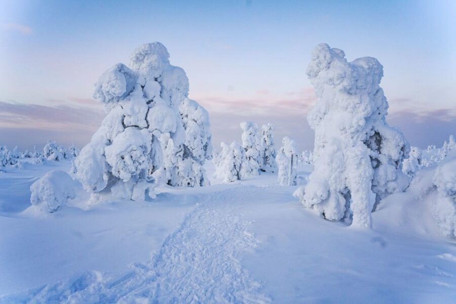 Rovaniemi: Riisitunturi National Park Day Trip with Lunch - Getting to the start: pickup quirks in Rovaniemi