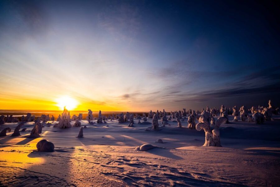 Rovaniemi: Riisitunturi National Park with Pro Photos & BBQ - Who Should Book This (And Who Might Skip It)