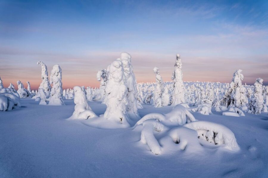 Rovaniemi: Riisitunturi National Park with Pro Photos & BBQ - Why Riisitunturi Fells Feel So Special