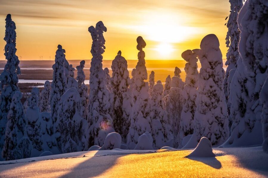 Rovaniemi: Riisitunturi National Park with Pro Photos & BBQ - The 4 km Hike Through Frozen Forests and Up to Viewpoints