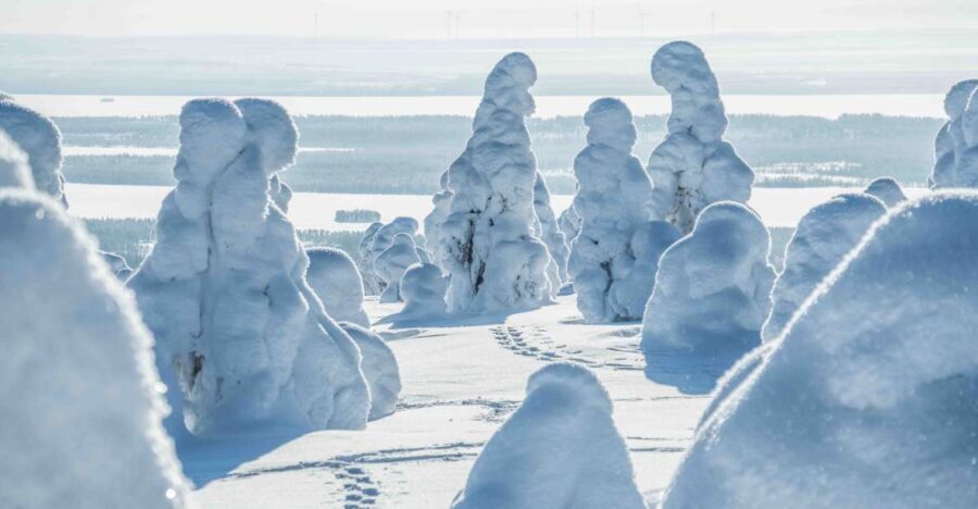 Rovaniemi: Riisitunturi National Park with Pro Photos & BBQ - BBQ Lunch in the Wild: Warm Food After Cold Steps