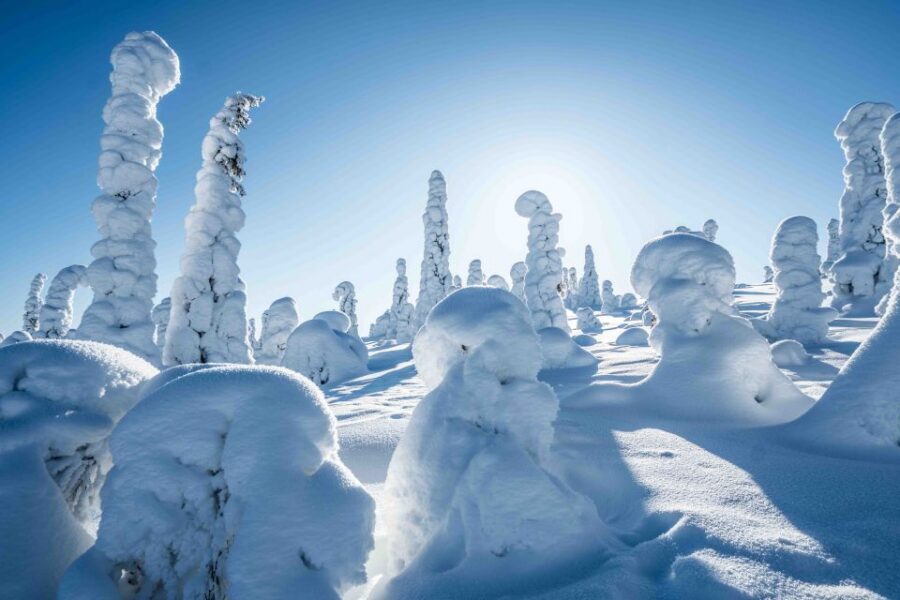 Rovaniemi: Riisitunturi National Park with Pro Photos & BBQ - What’s Included (And What That Means for Your Packing List)