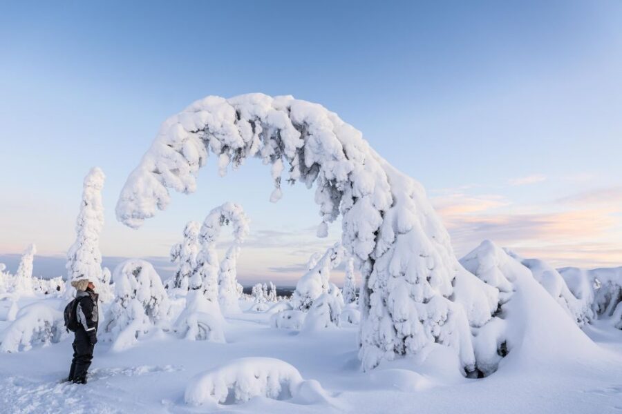 Rovaniemi: Riisitunturi National Park with Pro Photos & BBQ - Price and Value: Is $159 Worth It?