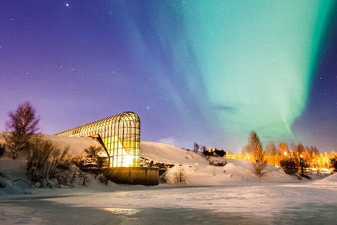 Rovaniemi Santa Claus Village Husky Reindeer Farm Arctic Museum - Santa Claus Village: Arctic Circle certificate and the quick Santa moment