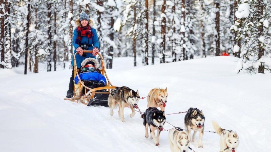 Rovaniemi: Santa Claus Village + Husky & Reindeer Sled Ride - Key things to know before you go