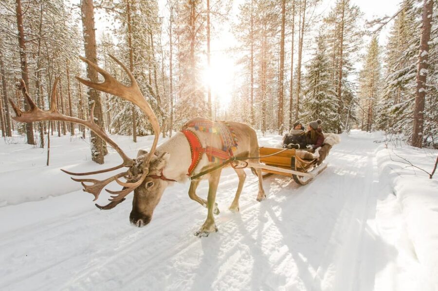 Rovaniemi: Santa Claus Village + Husky & Reindeer Sled Ride - The Santa meet-up: photos, postcards, and a main-office stop