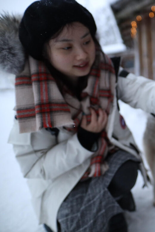 Rovaniemi: Santa Claus Village Tour Huskies & Reindeer ride - Price and Value: Is $235 Worth It for This Mix?
