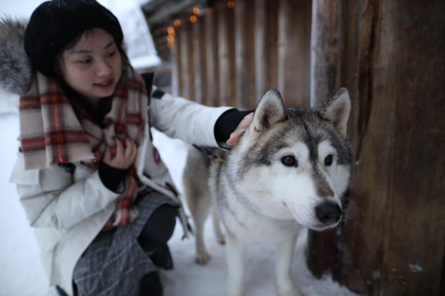 Rovaniemi: Santa Claus Village Tour Huskies & Reindeer ride - Season Reality Check: Planning for 15 November