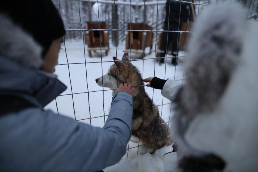 Rovaniemi: Santa Claus Village Tour Huskies & Reindeer Visit - Santa Claus Village: meeting Santa and crossing the Arctic Circle