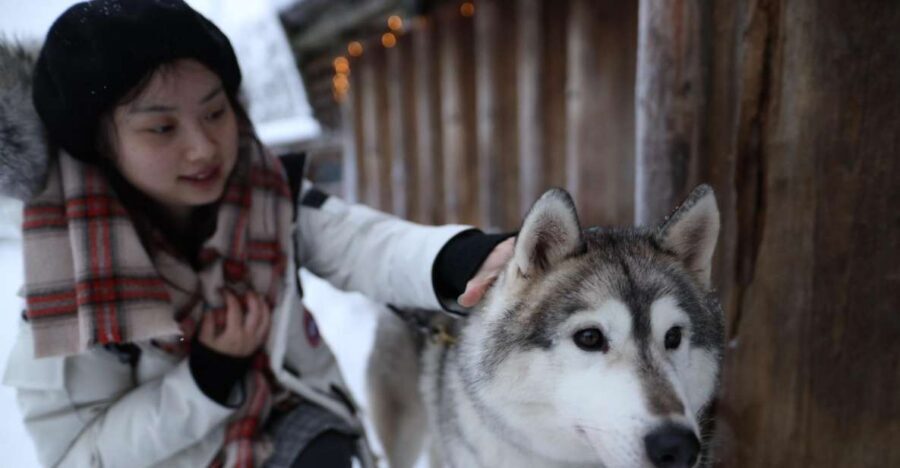 Rovaniemi: Santa Claus Village Tour Huskies & Reindeer Visit - Getting from Rovaniemi: pickup, transfer, and timing that actually matters
