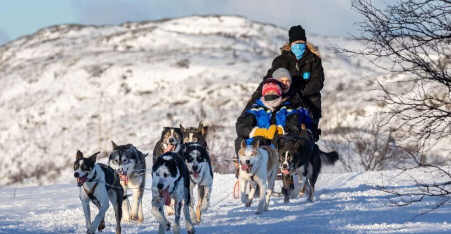 Rovaniemi: Santa's Village, Husky, & Reindeer Sled Ride - Key Points to Know Before You Go