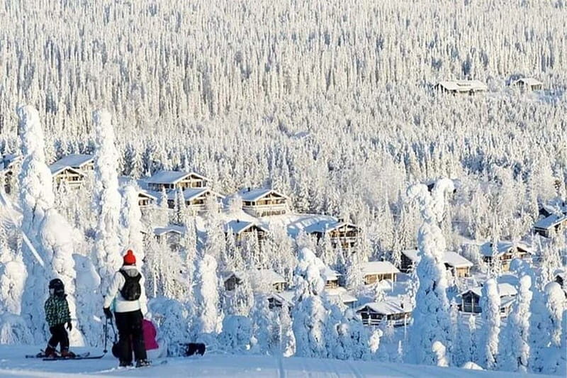 Rovaniemi: Slalom and Alpine Skiing - Price and Value: Is $283 Worth It?
