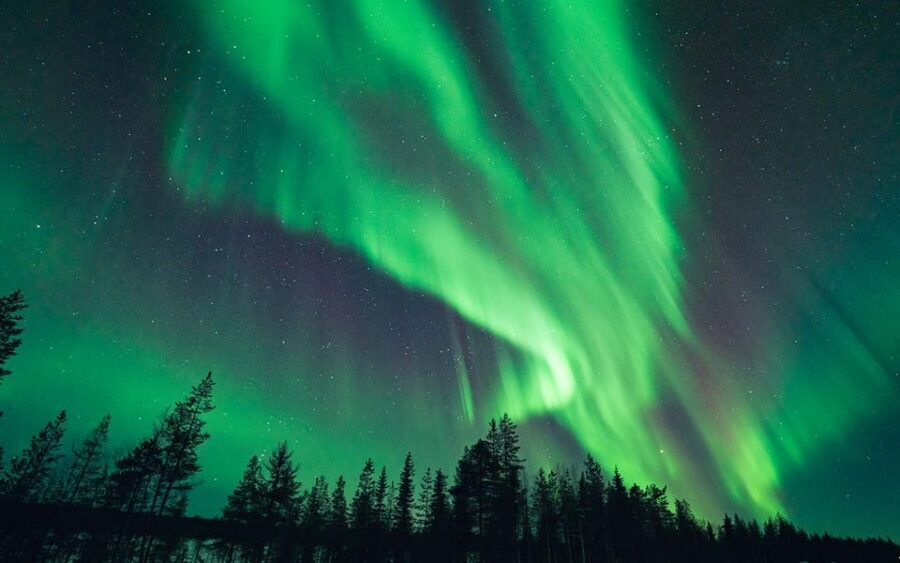 Rovaniemi: Small Group Aurora Hunt-full money back guarantee - The driving strategy: scientific data + lots of miles